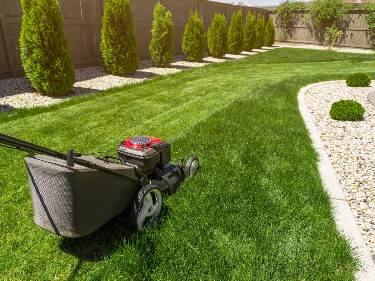 Five Forks SC #1 Lawn Care Services