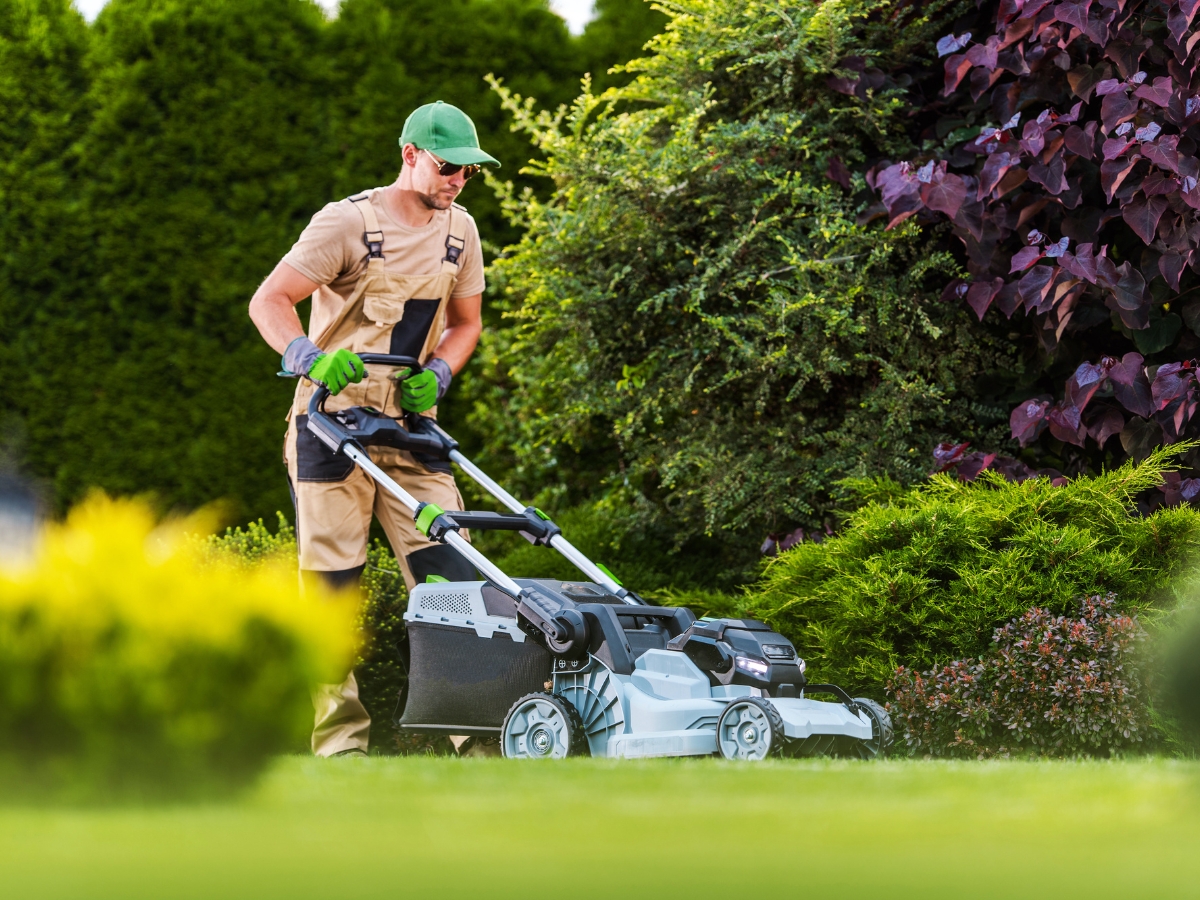 Five Forks SC #1 Lawn Care Services